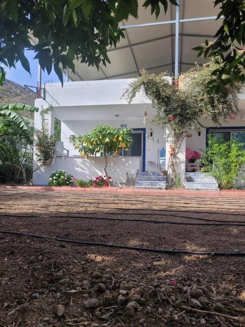 Bodrum Mazıköy'de Aileler İçin Uygun, Özel Plajlı, Müstakil Villa görsel 3