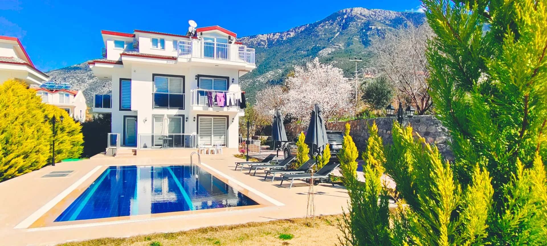 Fethiye Ölüdeniz'de Elverişli Konumda, Özel Havuzlu, 4+1 Villa görsel 1