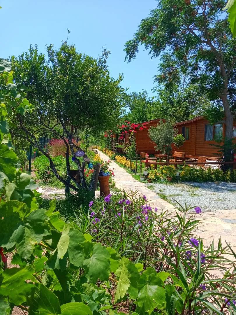 Bodrum Gümüşlük'te Doğa İçerisinde, Merkezi Konumda, Kiralık Bungalov görsel 1