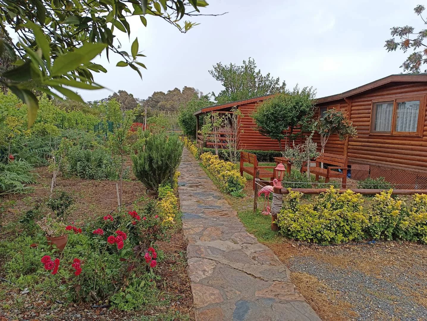 Bodrum Gümüşlük'te Doğa İçerisinde, Merkezi Konumda, Kiralık Bungalov görsel 3