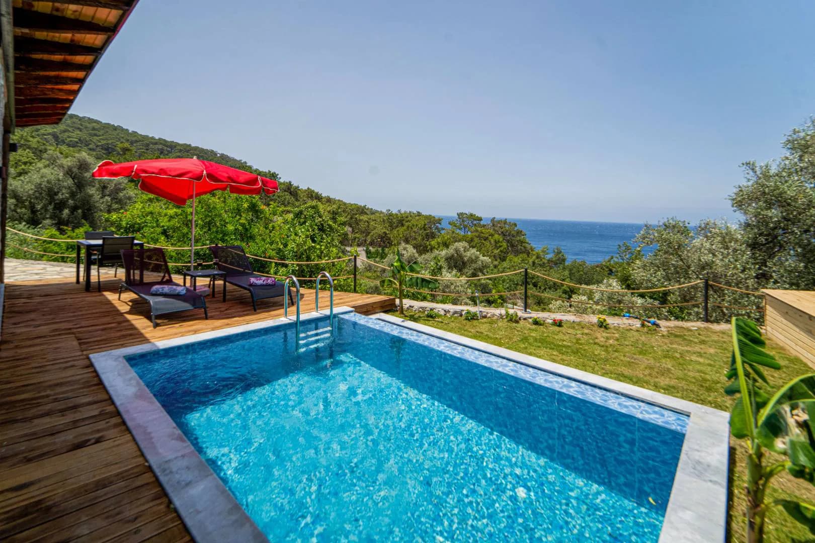 Fethiye Faralya'da Yemyeşil Bahçeli, Özel Havuzlu, 1+1 Villa görsel 3